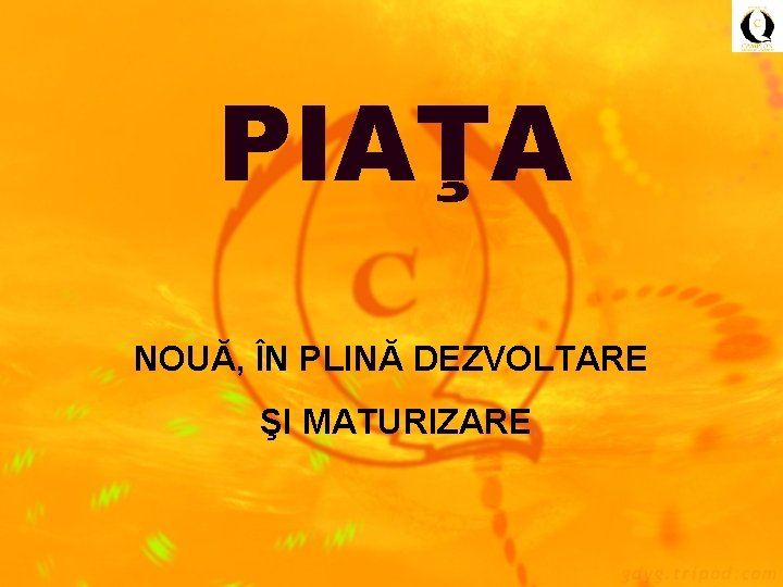 PIAŢA NOUĂ, ÎN PLINĂ DEZVOLTARE ŞI MATURIZARE 