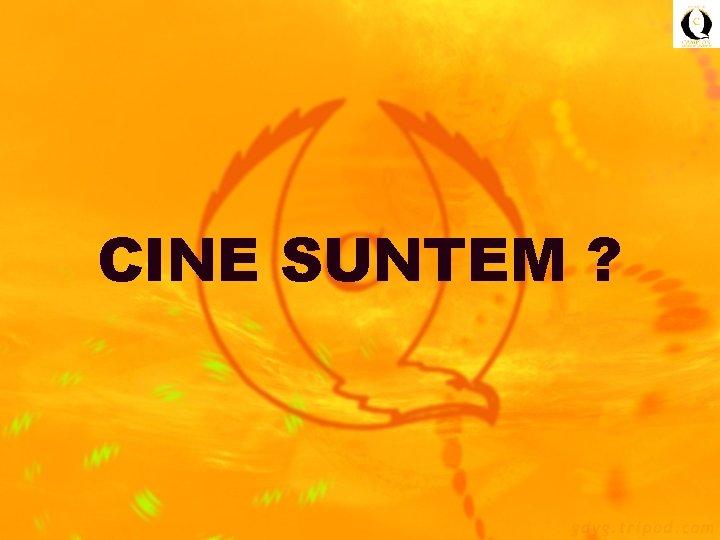 CINE SUNTEM ? 