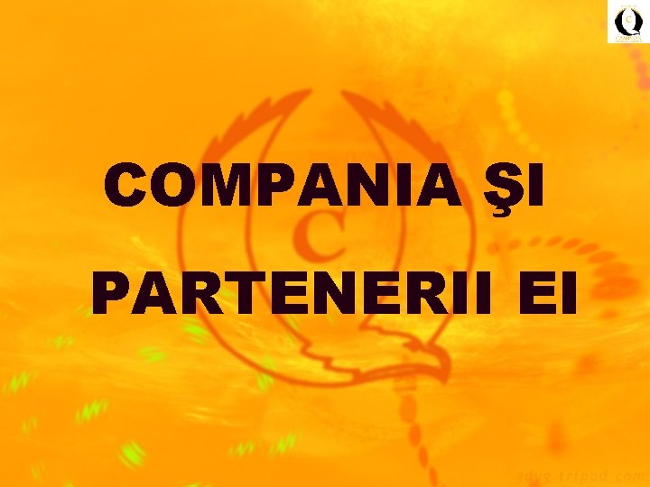 COMPANIA ŞI PARTENERII EI 