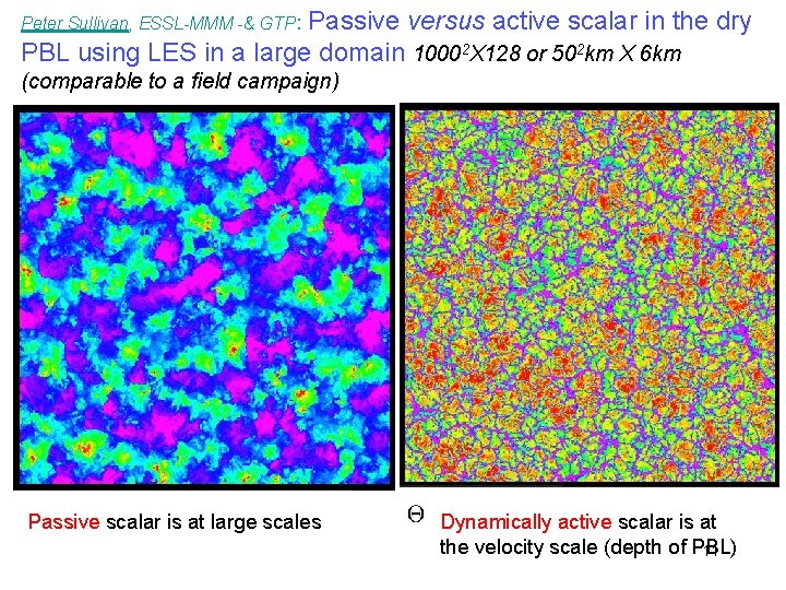 Passive versus active scalar in the dry PBL using LES in a large domain