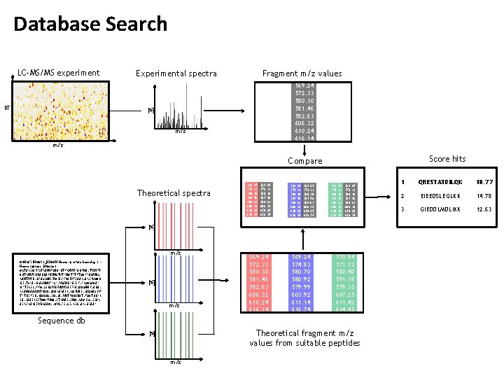 Database Search LC-MS/MS experiment RT Experimental spectra Fragment m/z values 569. 24 572. 33