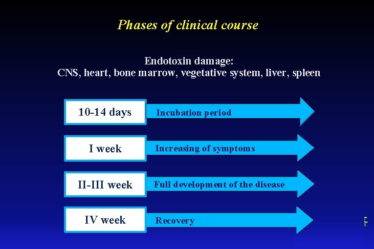 Phases of clinical course Endotoxin damage: CNS, heart, bone marrow, vegetative system, liver, spleen