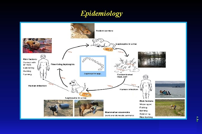 Epidemiology 