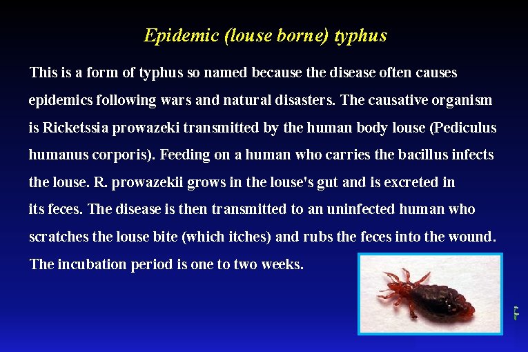 Epidemic (louse borne) typhus This is a form of typhus so named because the