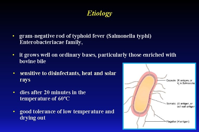 Etiology • gram-negative rod of typhoid fever (Salmonella typhi) Enterobacteriacae family, • it grows