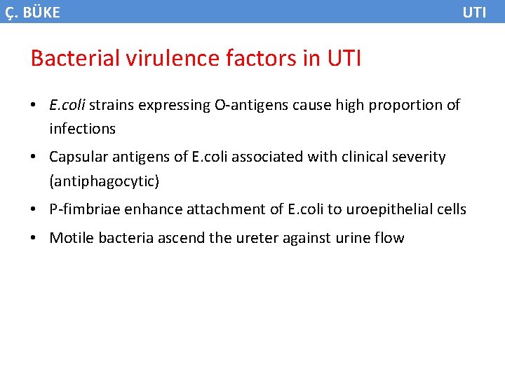 Ç. BÜKE UTI Bacterial virulence factors in UTI • E. coli strains expressing O-antigens