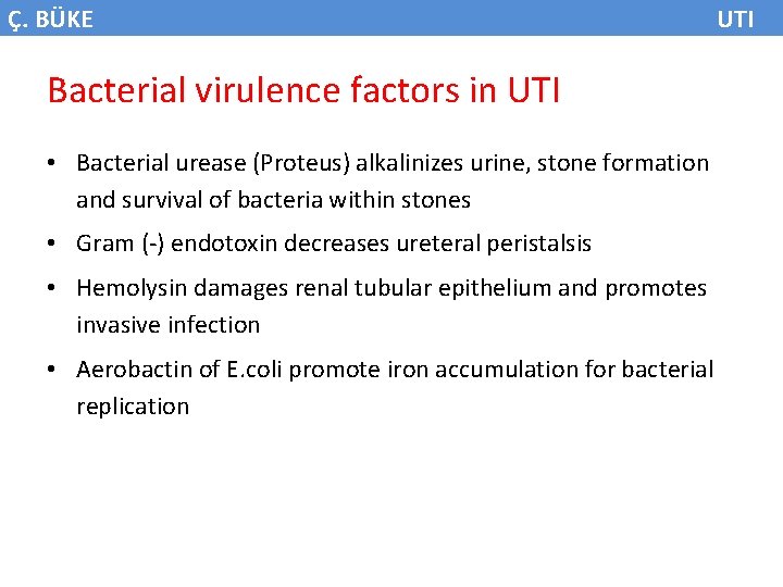 Ç. BÜKE Bacterial virulence factors in UTI • Bacterial urease (Proteus) alkalinizes urine, stone