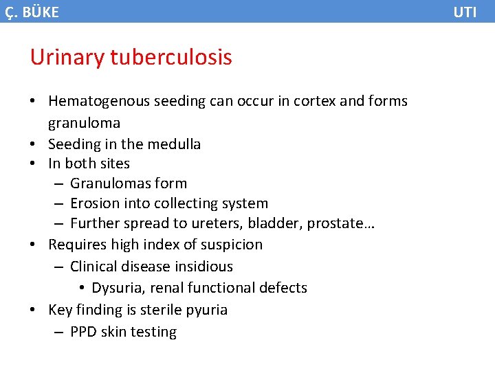 Ç. BÜKE Urinary tuberculosis • Hematogenous seeding can occur in cortex and forms granuloma