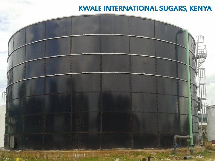 KWALE INTERNATIONAL SUGARS, KENYA 