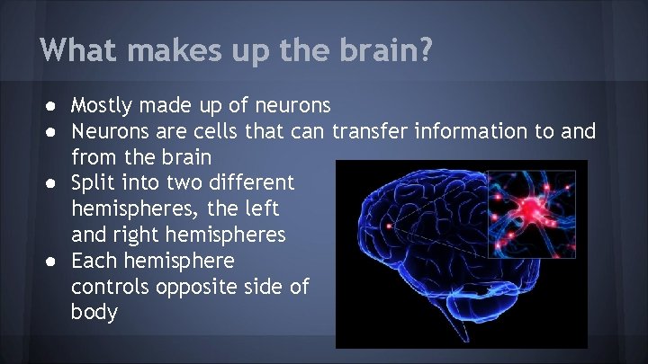 What makes up the brain? ● Mostly made up of neurons ● Neurons are