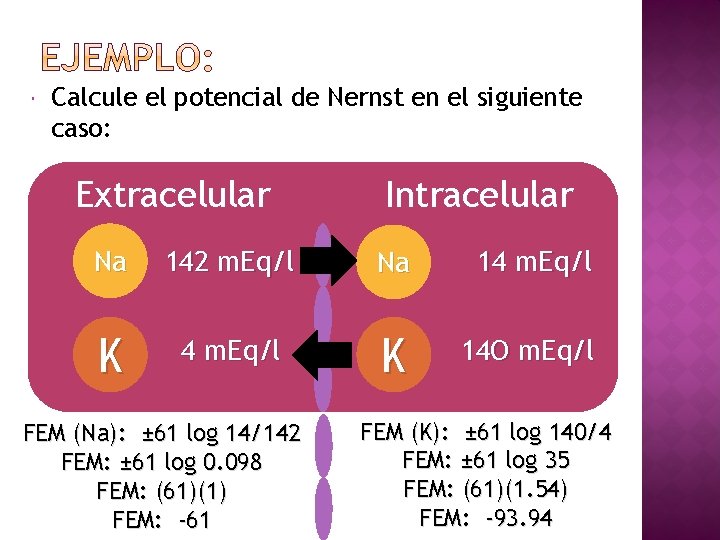  Calcule el potencial de Nernst en el siguiente caso: Extracelular Intracelular Na 142