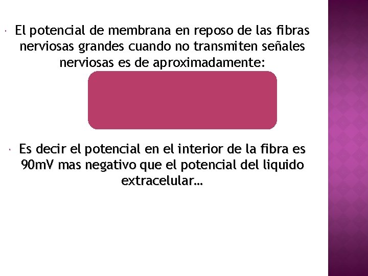 El potencial de membrana en reposo de las fibras nerviosas grandes cuando no transmiten