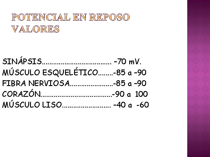 SINÁPSIS. . . . . – 70 m. V. MÚSCULO ESQUELÉTICO. . . .