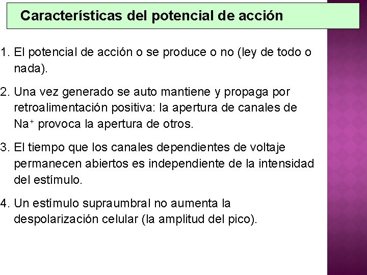 Características del potencial de acción 1. El potencial de acción o se produce o