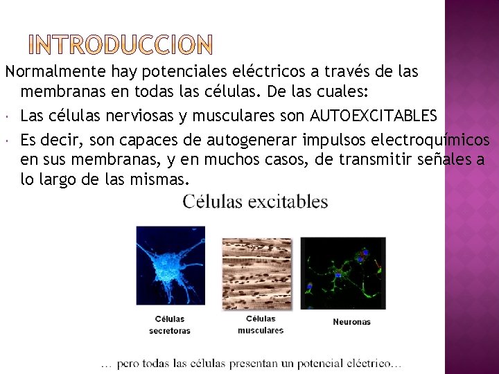 Normalmente hay potenciales eléctricos a través de las membranas en todas las células. De