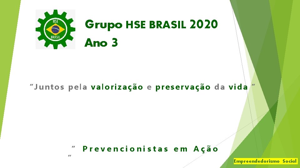 Grupo HSE BRASIL 2020 Ano 3 “Juntos pela valorização e preservação da vida ”