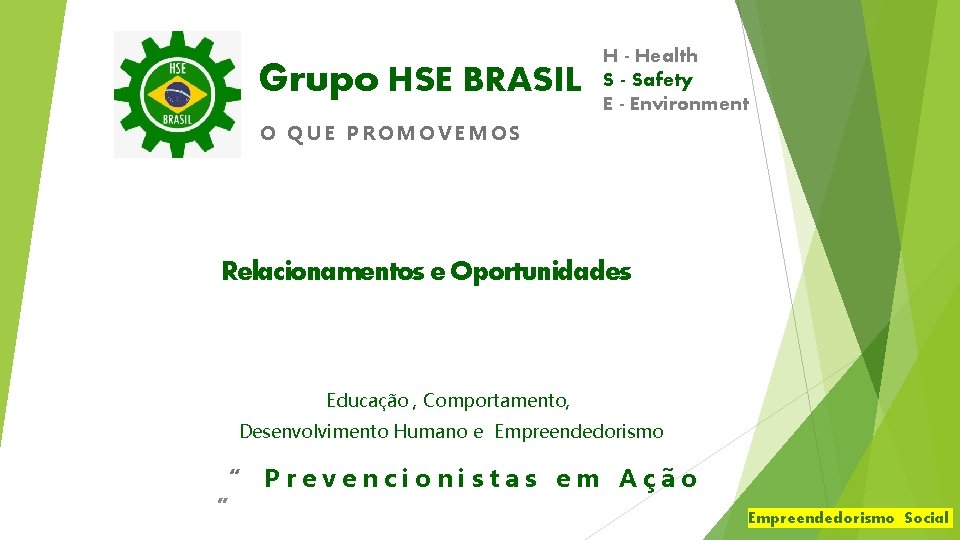 Grupo HSE BRASIL H - Health S - Safety E - Environment O QUE