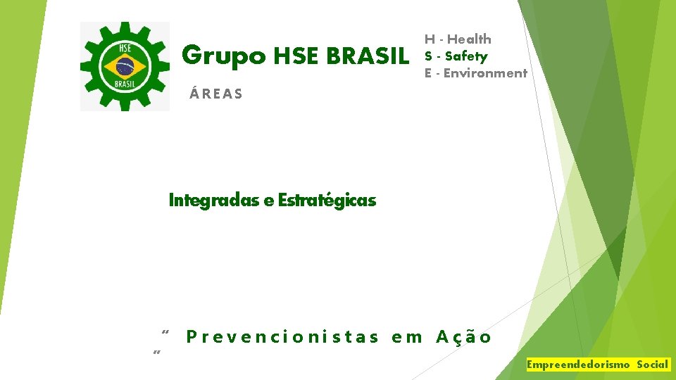 Grupo HSE BRASIL H - Health S - Safety E - Environment ÁREAS Integradas