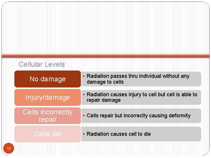 Cellular Levels No damage Injury/damage Cells incorrectly repair Cells die 14 • Radiation passes