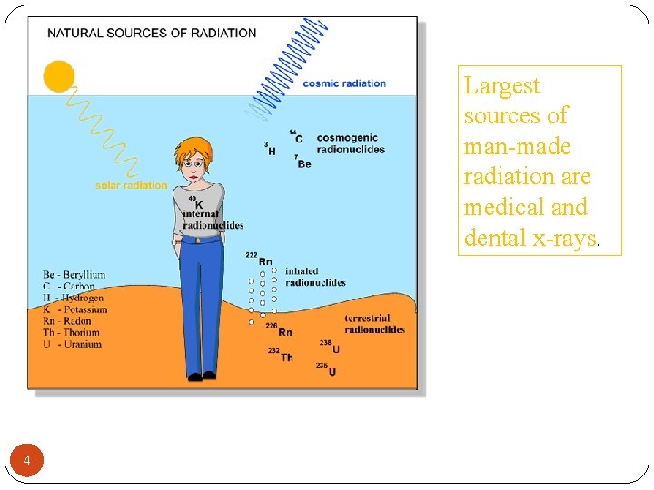 Largest sources of man-made radiation are medical and dental x-rays. 4 