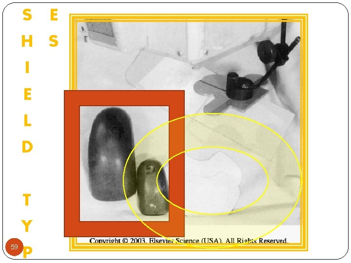 S E H S I E L D T Y 59 P 