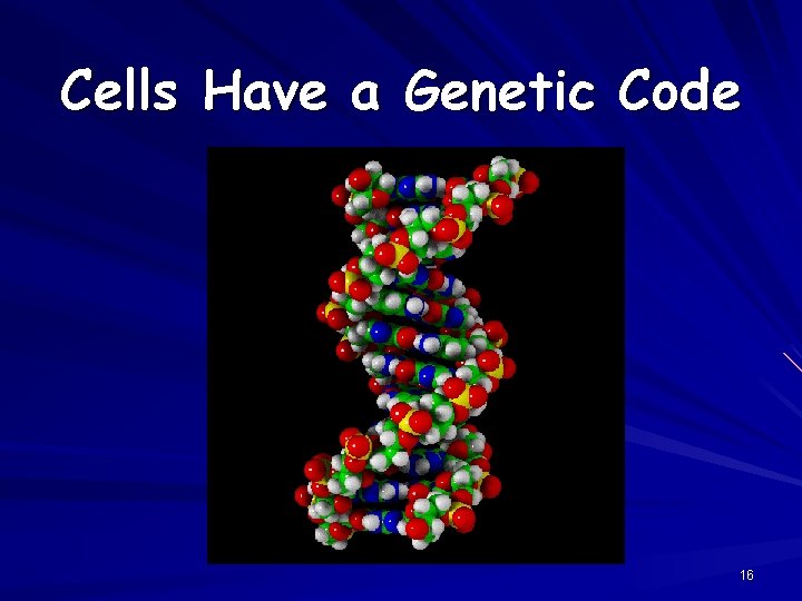 Cells Have a Genetic Code 16 