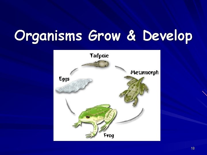 Organisms Grow & Develop 18 