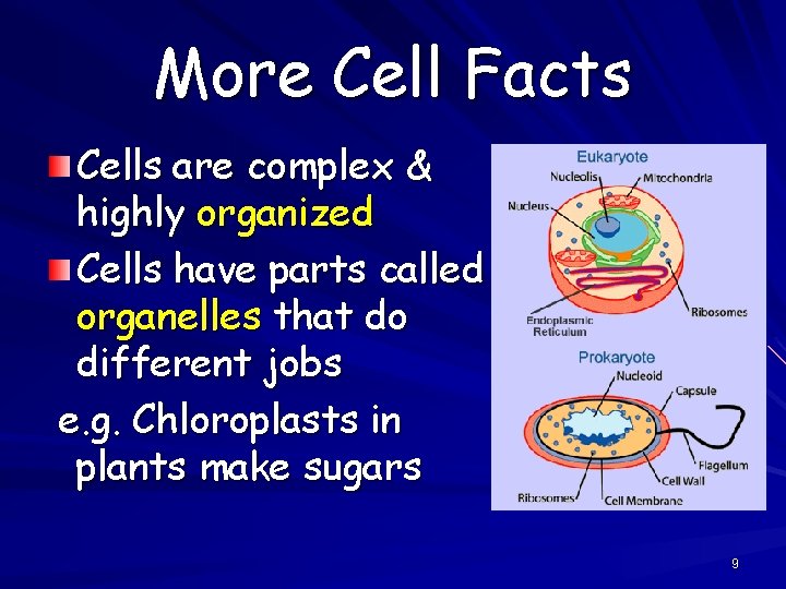 More Cell Facts Cells are complex & highly organized Cells have parts called organelles