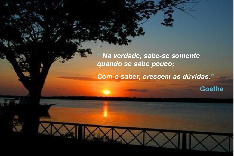 “ Na verdade, sabe-se somente quando se sabe pouco; Com o saber, crescem as