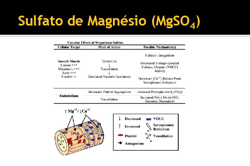 Sulfato de Magnésio (Mg. SO 4) 