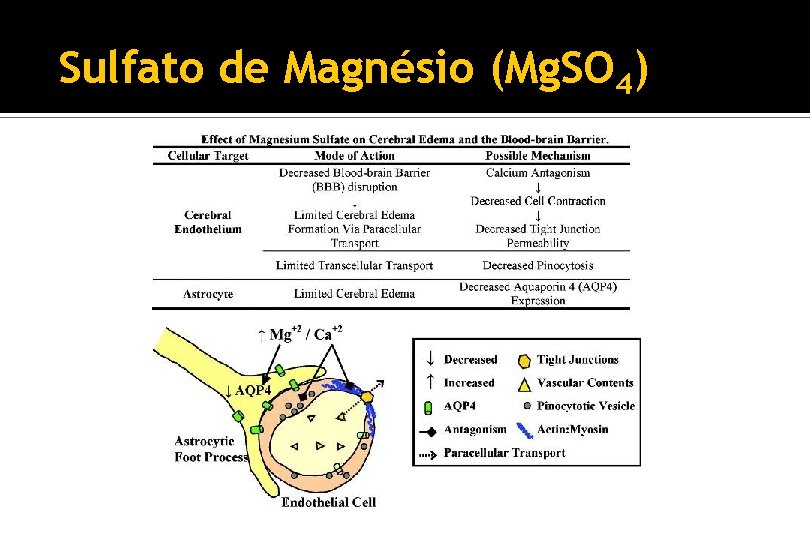 Sulfato de Magnésio (Mg. SO 4) 