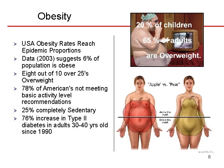 Obesity Ø Ø Ø USA Obesity Rates Reach Epidemic Proportions Data (2003) suggests 6%