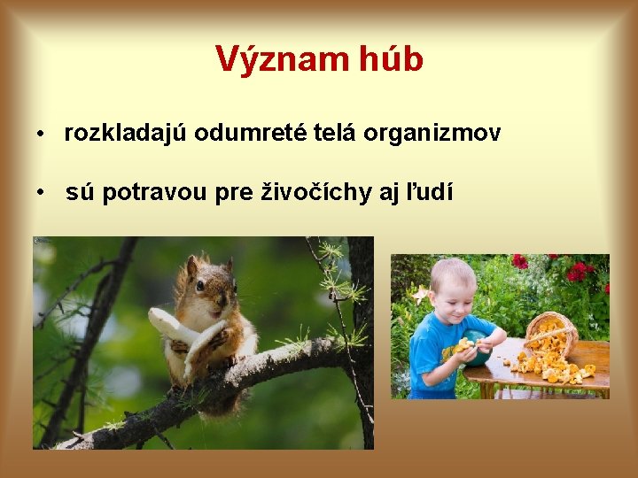 Význam húb • rozkladajú odumreté telá organizmov • sú potravou pre živočíchy aj ľudí Význam húb • rozkladajú odumreté telá organizmov • sú potravou pre živočíchy aj ľudí