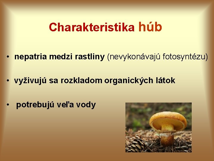 Charakteristika húb • nepatria medzi rastliny (nevykonávajú fotosyntézu) • vyživujú sa rozkladom organických látok