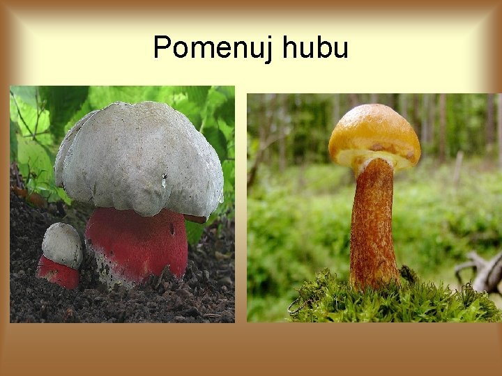 Pomenuj hubu 