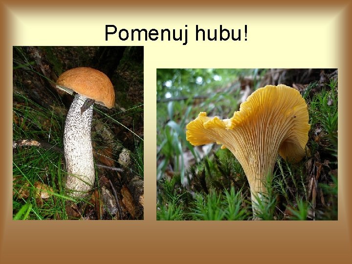 Pomenuj hubu! Pomenuj hubu!