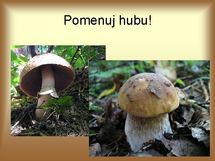 Pomenuj hubu! Pomenuj hubu!
