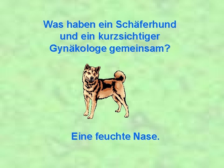 Was haben ein Schäferhund ein kurzsichtiger Gynäkologe gemeinsam? Eine feuchte Nase. 