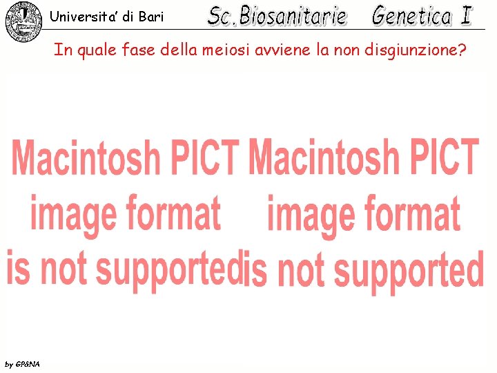 Universita’ di Bari In quale fase della meiosi avviene la non disgiunzione? by GP&NA