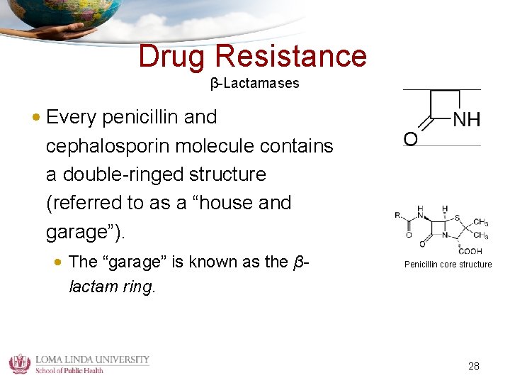Drug Resistance β-Lactamases • Every penicillin and cephalosporin molecule contains a double-ringed structure (referred