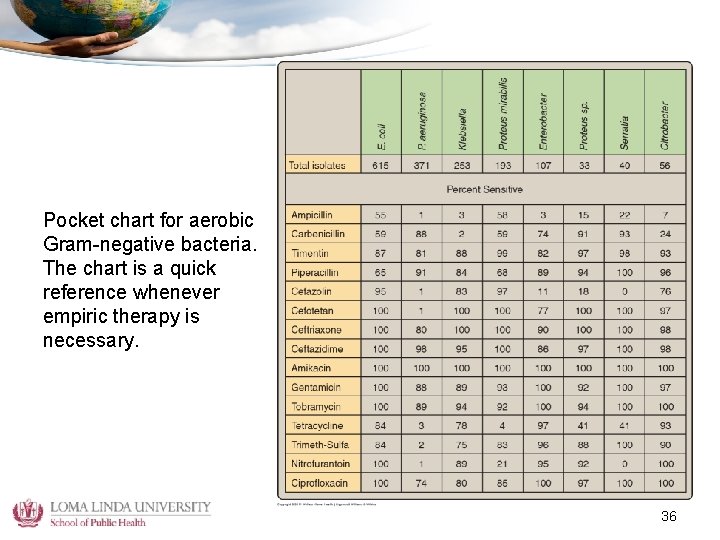 Pocket chart for aerobic Gram-negative bacteria. The chart is a quick reference whenever empiric