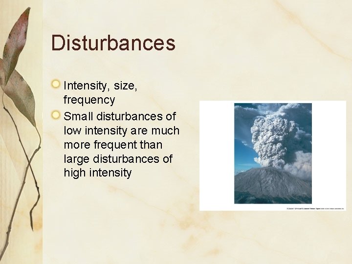 Disturbances Intensity, size, frequency Small disturbances of low intensity are much more frequent than