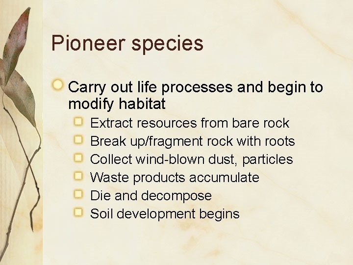 Pioneer species Carry out life processes and begin to modify habitat Extract resources from