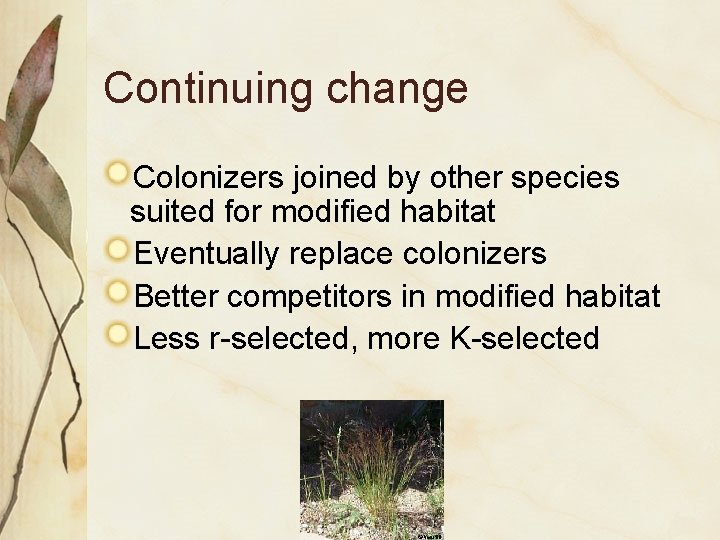 Continuing change Colonizers joined by other species suited for modified habitat Eventually replace colonizers