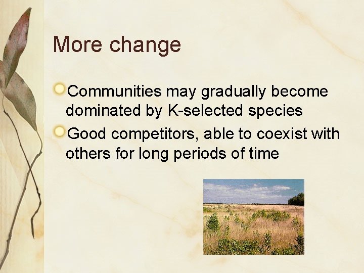 More change Communities may gradually become dominated by K-selected species Good competitors, able to