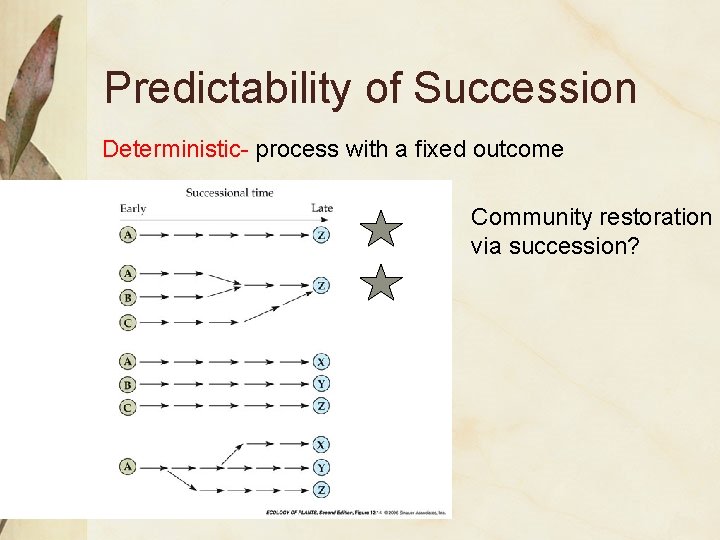 Predictability of Succession Deterministic- process with a fixed outcome Community restoration via succession? 