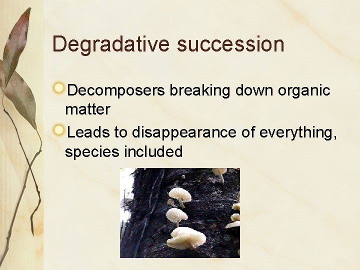 Degradative succession Decomposers breaking down organic matter Leads to disappearance of everything, species included