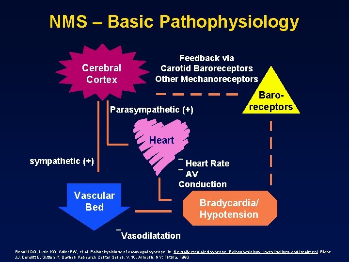 NMS – Basic Pathophysiology Cerebral Cortex Feedback via Carotid Baroreceptors Other Mechanoreceptors Baroreceptors Parasympathetic