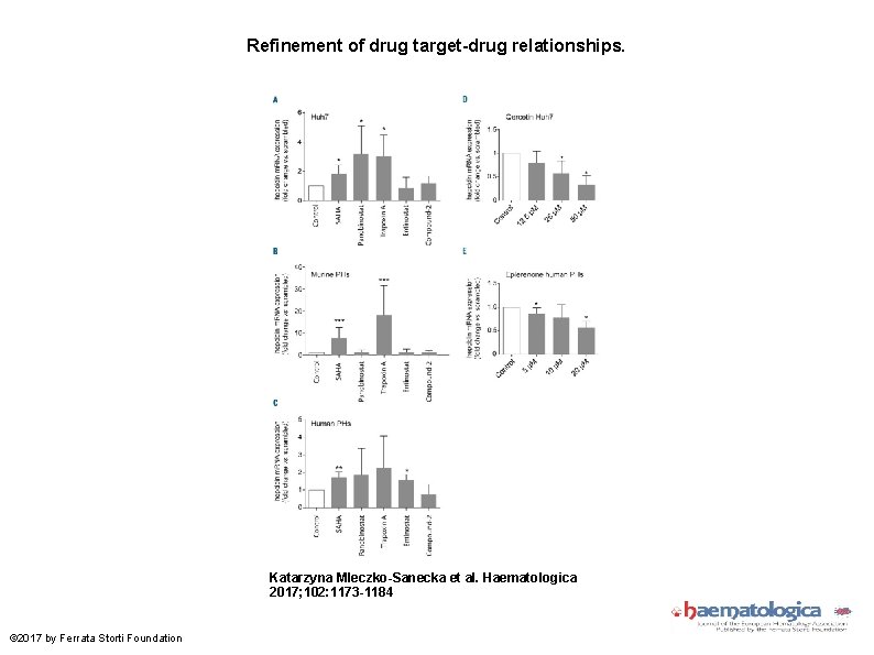Refinement of drug target-drug relationships. Katarzyna Mleczko-Sanecka et al. Haematologica 2017; 102: 1173 -1184