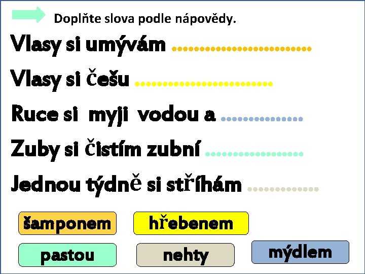 Doplňte slova podle nápovědy. Vlasy si umývám ……. . . . . Vlasy si